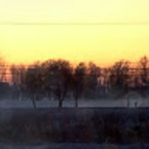 Meet your Posher, Kim guinn